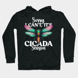 Sorry I Can't It's Cicada Season Fest 2024 Broods XIX & XIII Hoodie